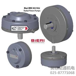 BIERI液压泵